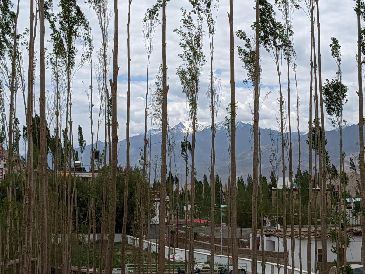Chandan Guest House Leh Bagian luar foto