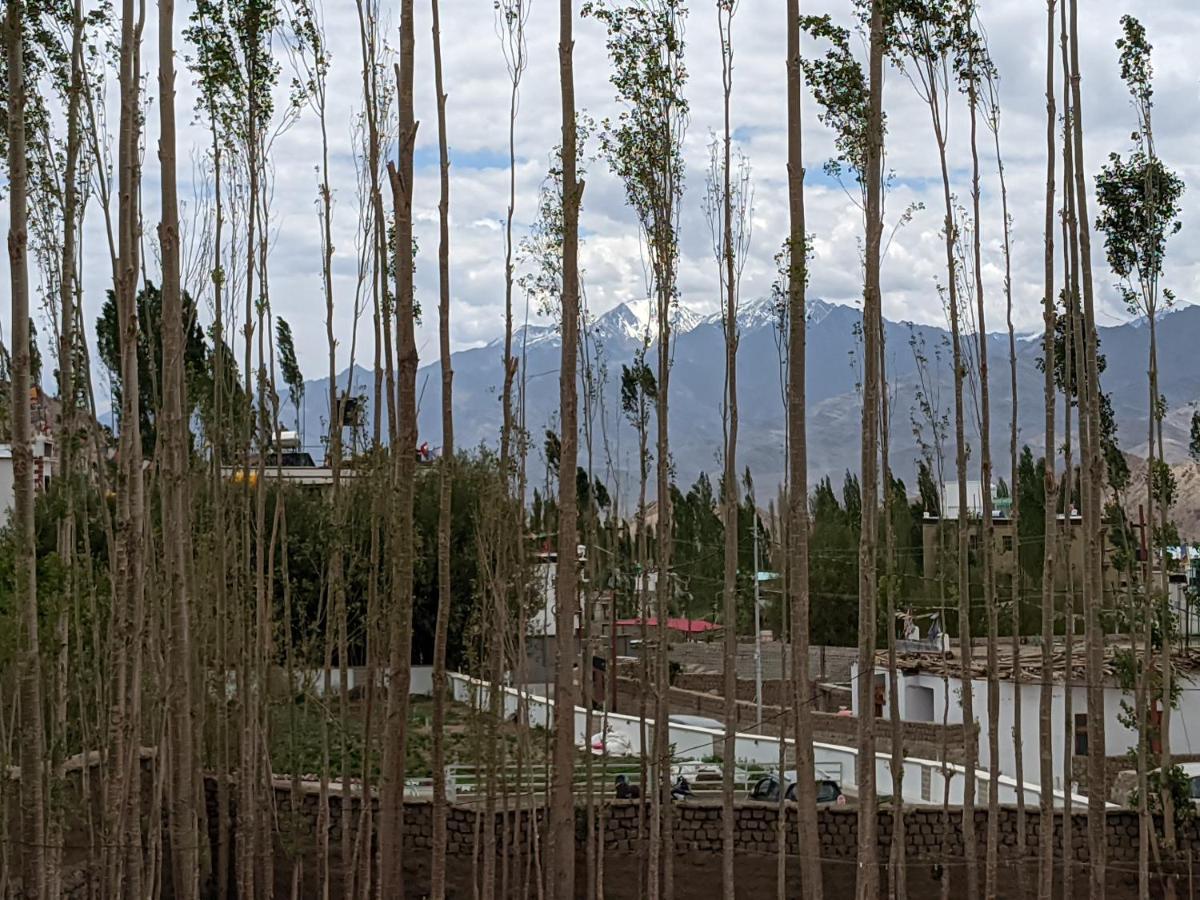 Chandan Guest House Leh Bagian luar foto